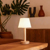 Rechargeable Dimmable Cordless Table Lamp - RhoolLampCordless LampRechargeable Dimmable Cordless Table Lamp