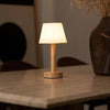 Rechargeable Dimmable Cordless Table Lamp - RhoolLampCordless LampRechargeable Dimmable Cordless Table Lamp