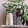 Engraved Brass Planter/Vase - RhoolPlanterHouse DoctorHouse Doctor Planter Engraved Brass Planter/Vase 5707644522619
