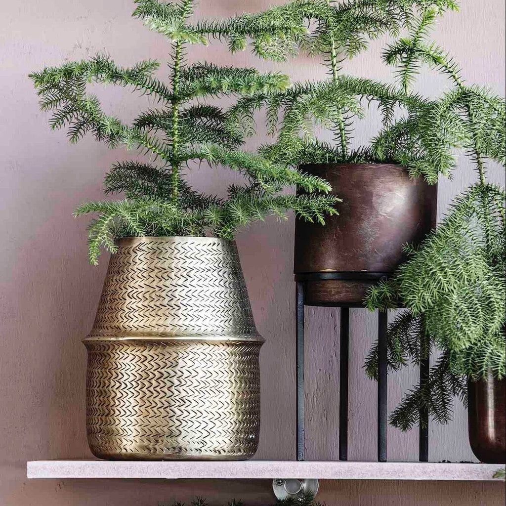 Engraved Brass Planter/Vase - RhoolPlanterHouse DoctorHouse Doctor Planter Engraved Brass Planter/Vase 5707644522619