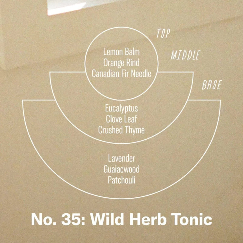 PF Candle - Wild Herb Tonic - RhoolCandlesP.F CandlesPF Candle - Wild Herb Tonic